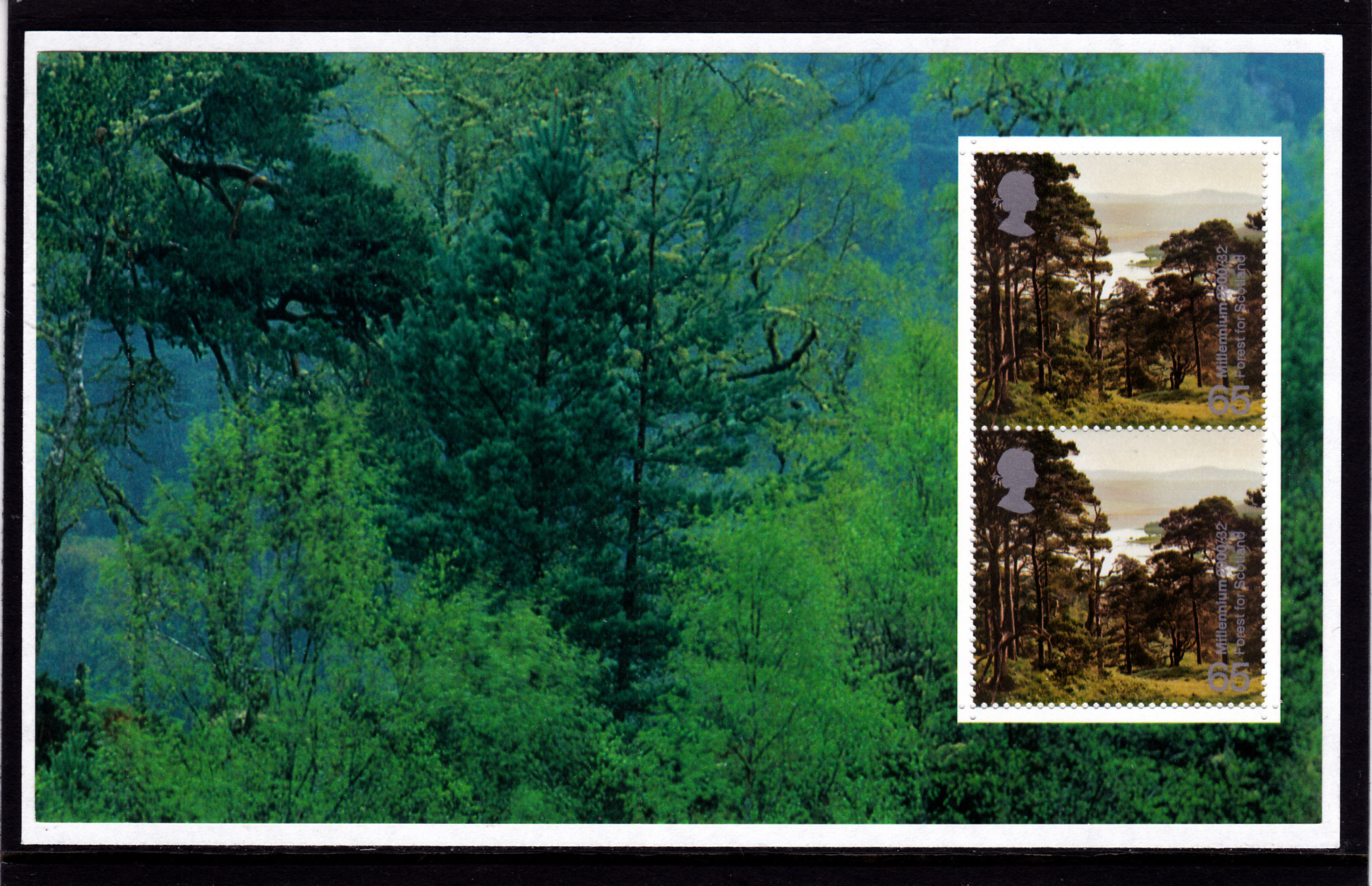 Unstitched Pane WP1330 Treasury of Trees DX26