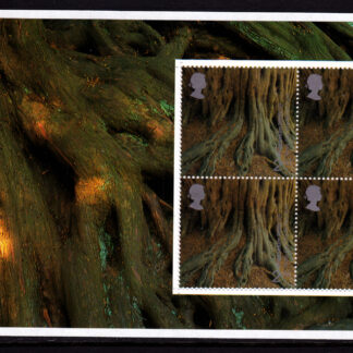 Unstitched Pane WP1332 Treasury of Trees DX26
